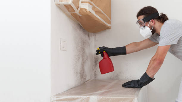 Professional Mold Testing technician working in Mears, VA